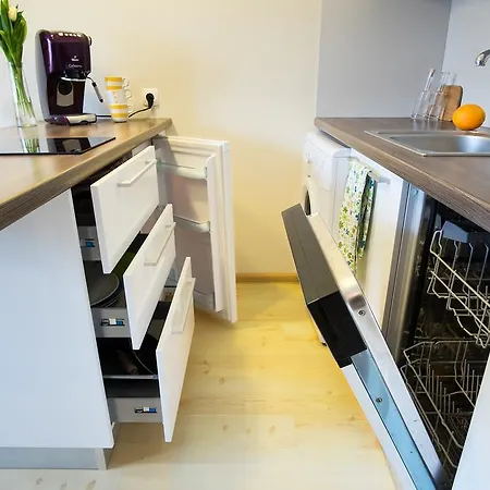 中心一室公寓 公寓 格丁尼亚