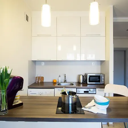 中心一室公寓 公寓 格丁尼亚