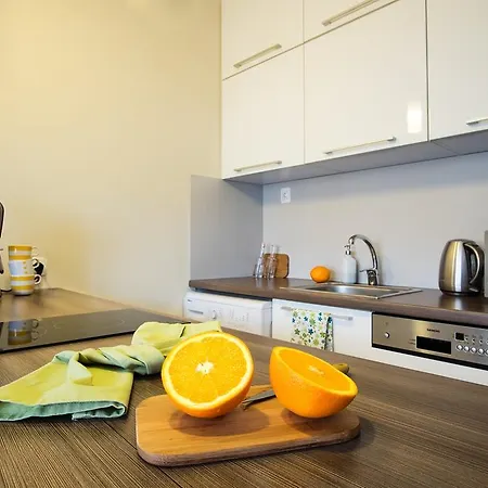 公寓 中心一室公寓